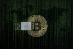 the custodial duties of non-custodial wallet providers 